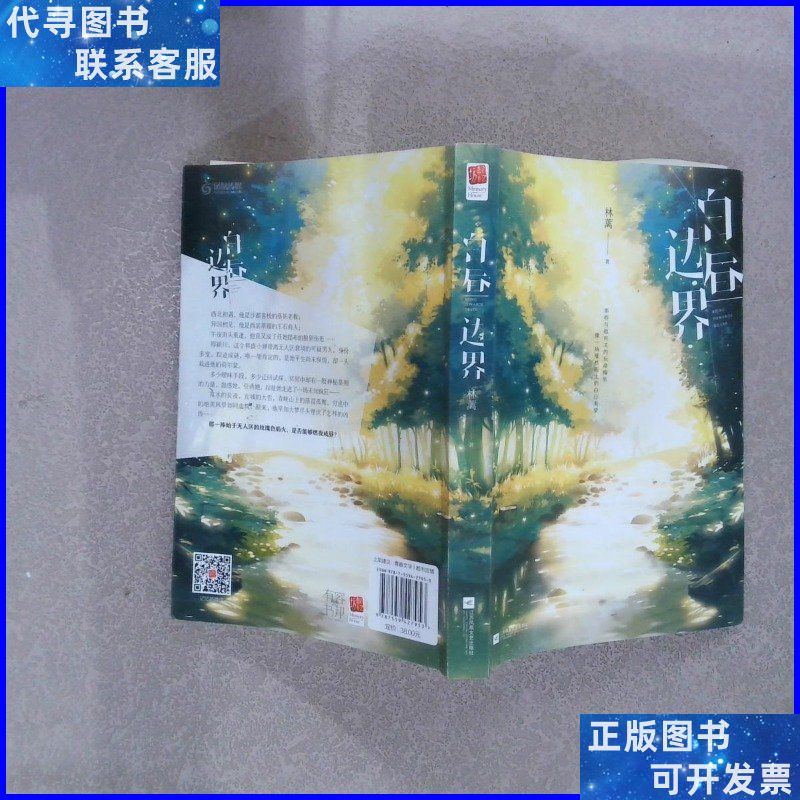 白昼边界 林蓠 9787559427953 江苏凤凰文艺出版社有限公司 江苏