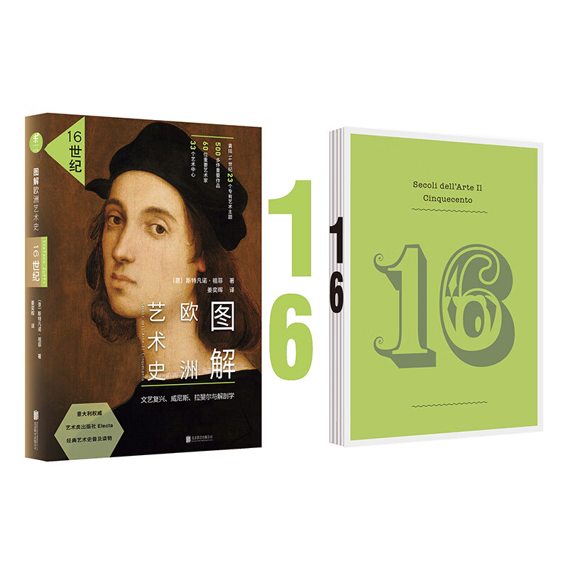 正版 图解欧洲艺术史 16世纪 文艺复兴 威尼斯 拉斐尔 解剖学 世界