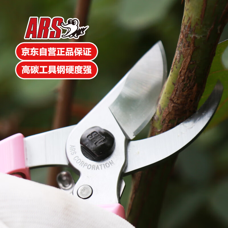 爱丽斯(ars)130dx-p 进口修枝剪刀树剪刀果树剪花剪园艺剪园林剪刀