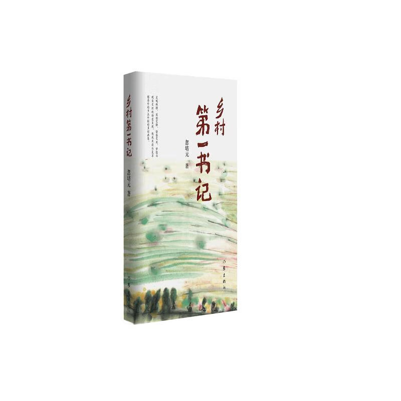 乡村第一书记 小说
