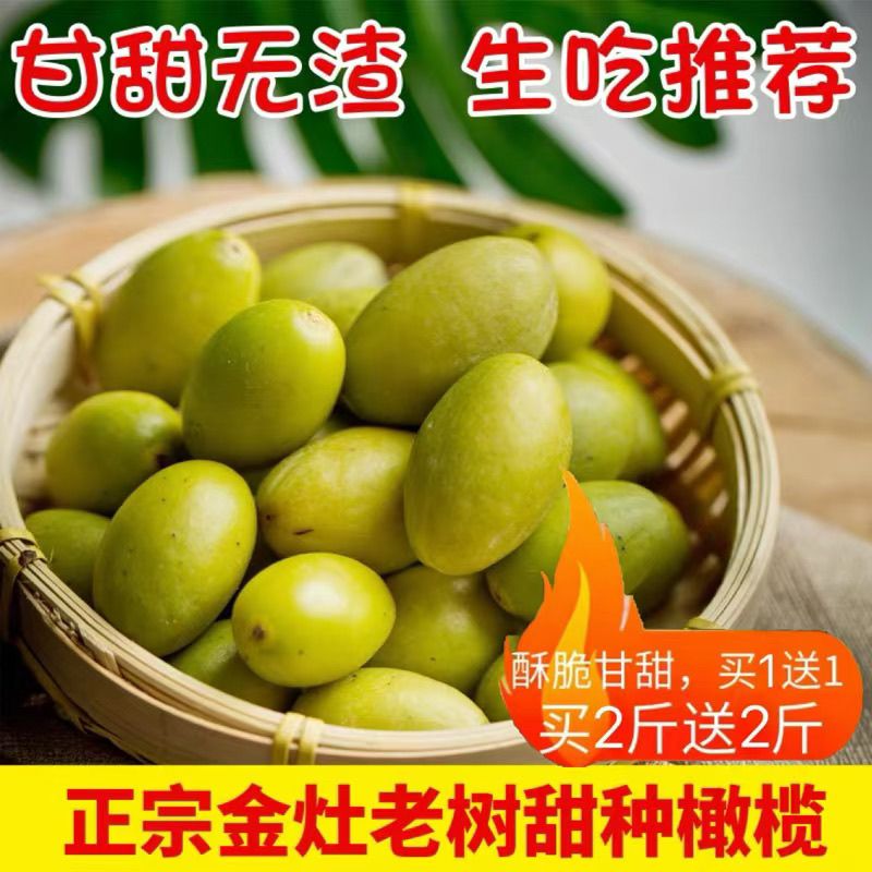 【買2斤送斤 聚優(yōu)惠】潮汕正宗特級(jí)甜橄欖新鮮青果生吃甘甜無渣 一級(jí)甜種橄欖 買半斤送半斤【凈重發(fā)1斤】