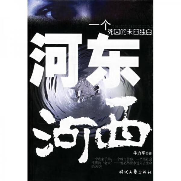 河东河西9787538721935