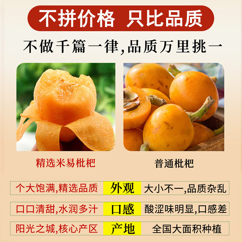 京蚨鲜四川攀枝花米易枇杷 甜枇杷琵琶新鲜水果礼盒 净重 5斤 特大果【40-50克】