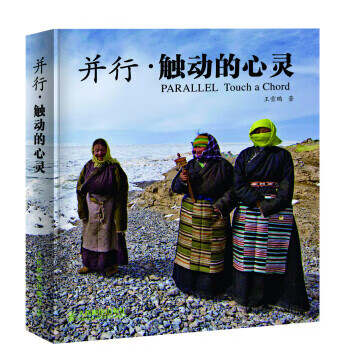 并行·触动的心灵 王雪鹏 著【正版书】