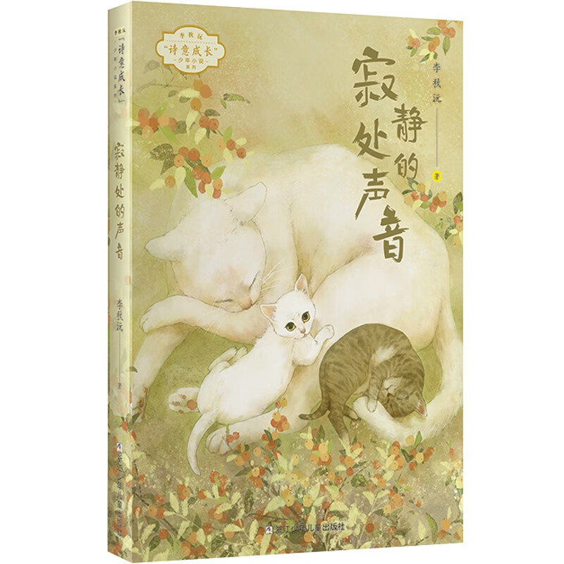 李秋沅·诗意成长少年小说系列：寂静处的声音