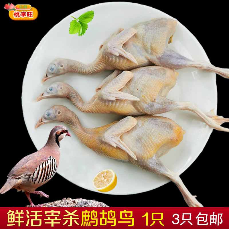 桃李旺鹧鸪鸟肉新鲜飞龙肉 现杀品质 农家散养老鹧鸪肉 特种养殖肉类