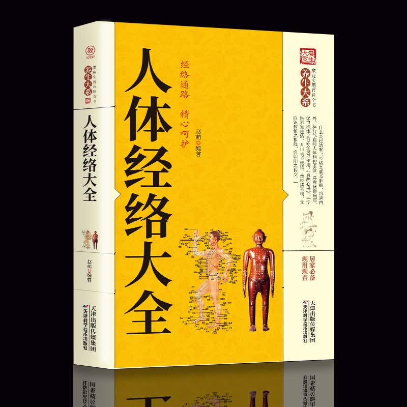 正版养生大系 人体经络大全图解手法 经络穴位快速记忆 全身经络书籍大全 零基础入门学会手法筋络中医养生 经络图册使用手册常见病