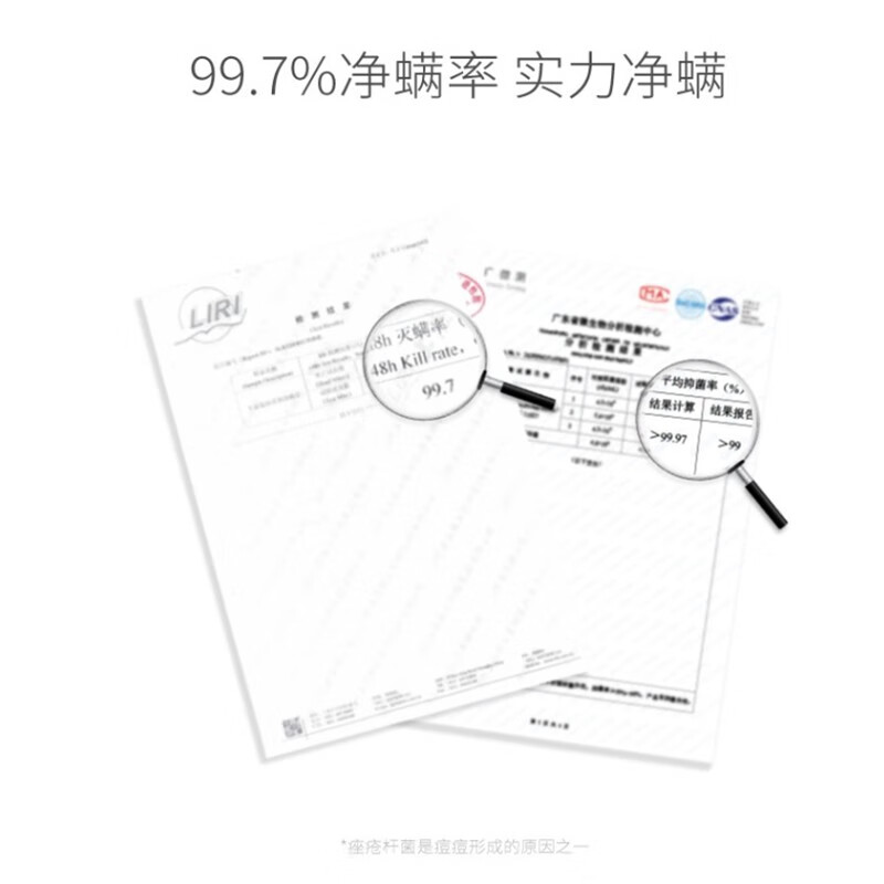 半亩花田苦参净螨皂洗手沐浴全身可用男女通用控油硫磺皂肥皂香皂 苦参净螨皂100g*2 经典版