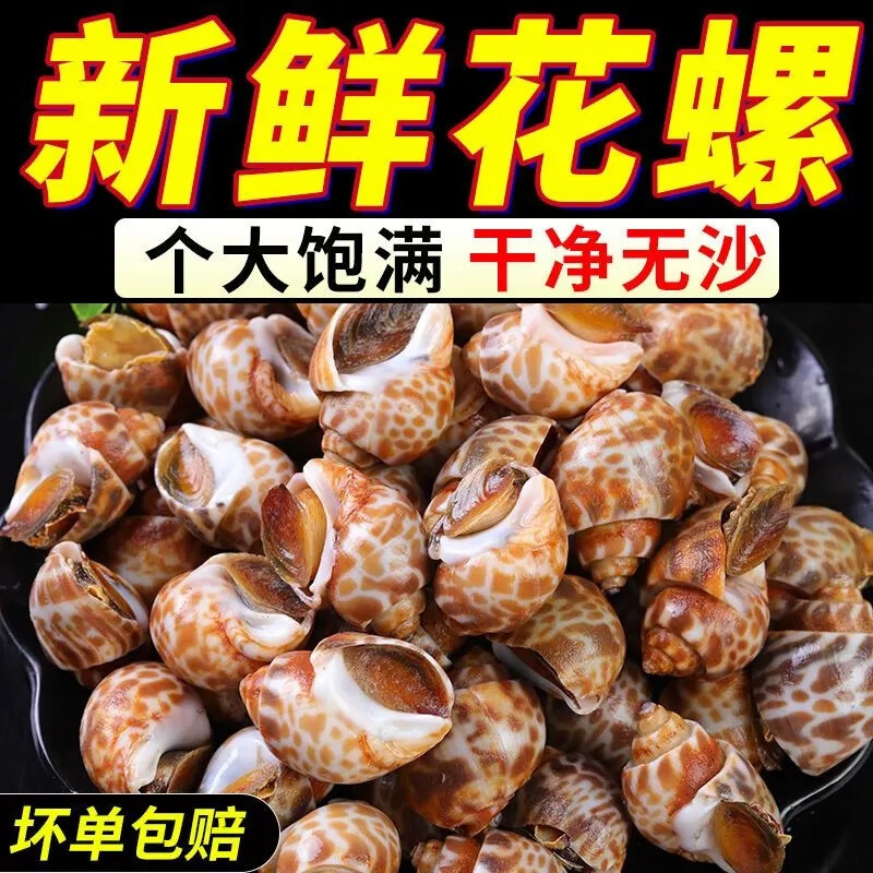 新加明亚 8斤花螺新鲜速冻东风螺小香螺整箱商用批发1斤海鲜水产 八斤花螺【加量装】