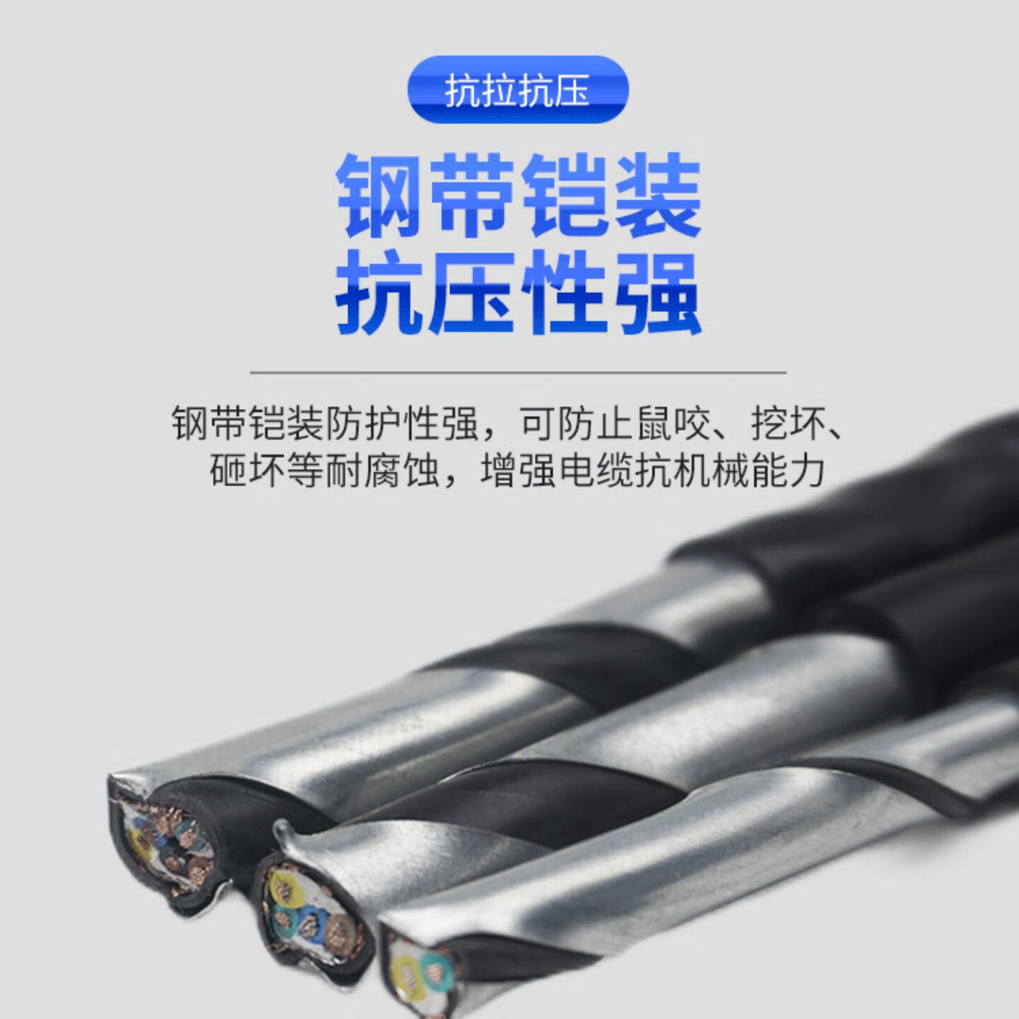 丰旭RVVP22 铠装屏蔽通讯信号线RS485阻燃铠装控制电缆带铠通信电缆线 铠装屏蔽控制线RVVP22 2*1.5 100米（现货速发）