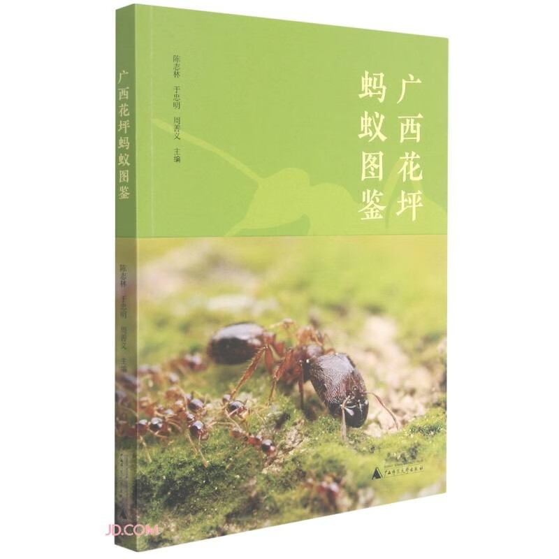 广西花坪蚂蚁图鉴   陈志林 于忠明 周善义 主编   广西师范本社