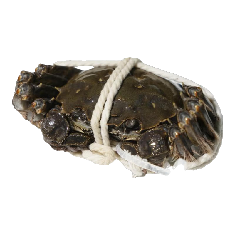 зĩբзֻʻззĸзƷ 4.0-4.3ĸ3.0-3.348ֻװ ݾз