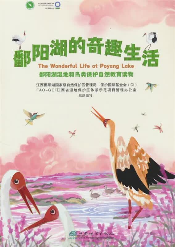 鄱阳湖的奇趣生活