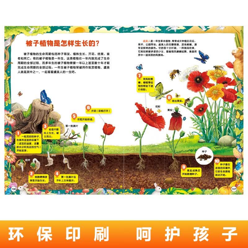 漫画趣读生物 基础篇+进阶篇（全2册）中小学生课外阅读 趣味学习生物详情图