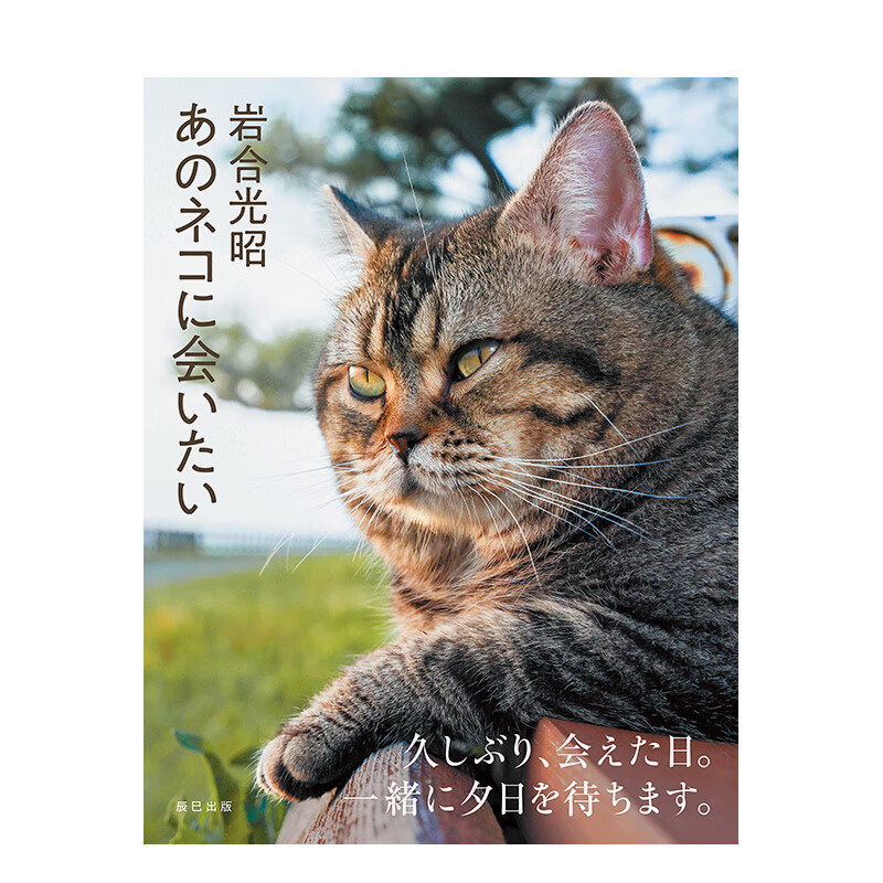 【现货】想遇见那只猫 岩合光昭摄影集 あのネコに会いたい 岩合光昭