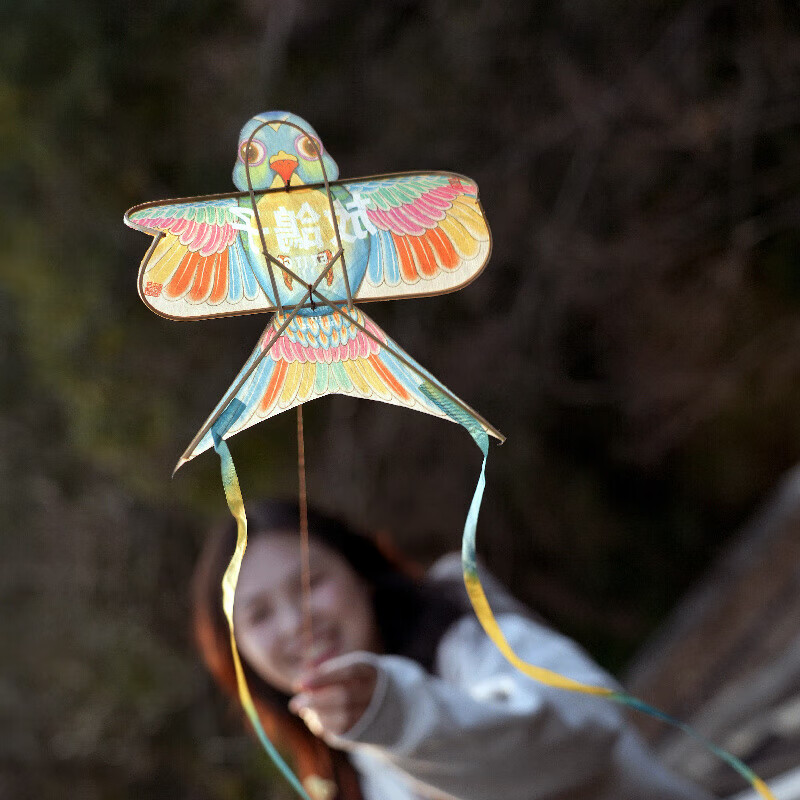 包纸鸢儿童玩具子手工制作非遗文创礼物 放鸽子风筝diy材料包鱼竿款