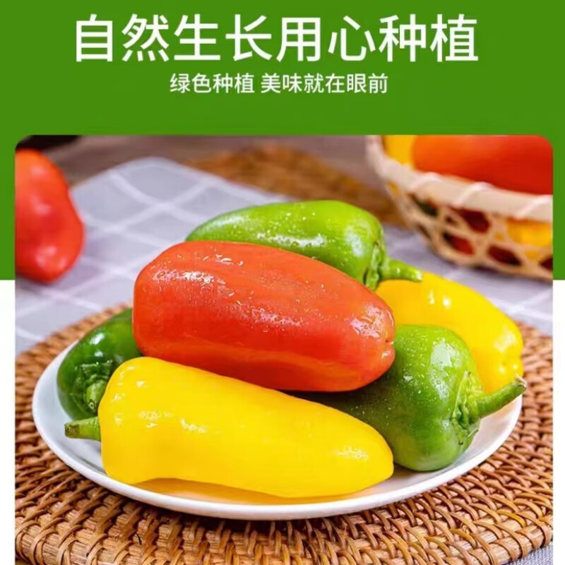农大姐妹水果彩椒 山东五彩甜椒  七彩生吃彩椒 当季沙拉蔬菜新鲜甜椒凉拌 顺丰冷链上门4斤