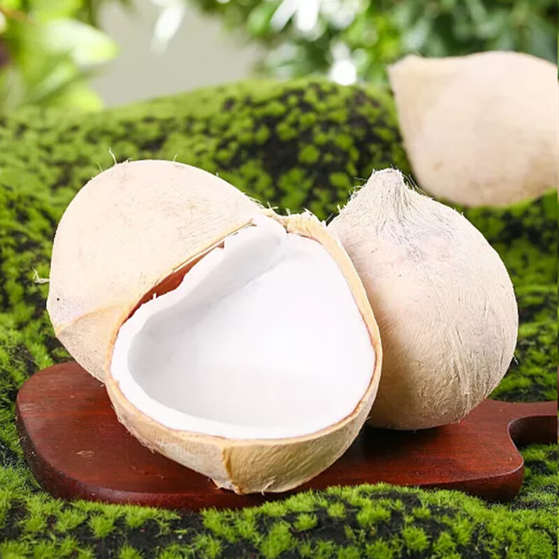 自然搭档  泰国进口椰皇 清甜多汁椰子新鲜热带水果6个装 单果350g-450g
