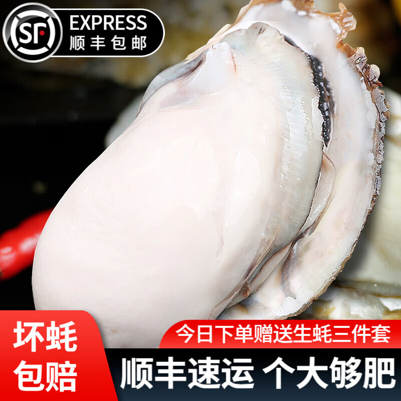 贝倍鲜山东乳山新鲜生蚝 鲜活牡蛎海蛎子海鲜贝类生蚝烧烤食材 净重4斤(8-10个)5XL