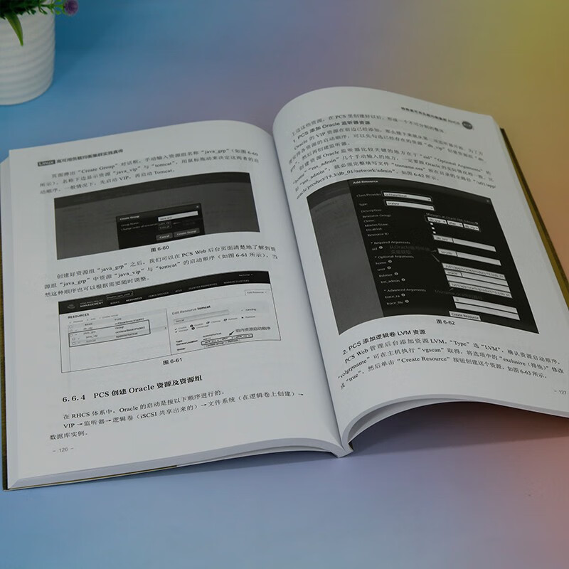 Linux高可用负载均衡集群实践真传详情图