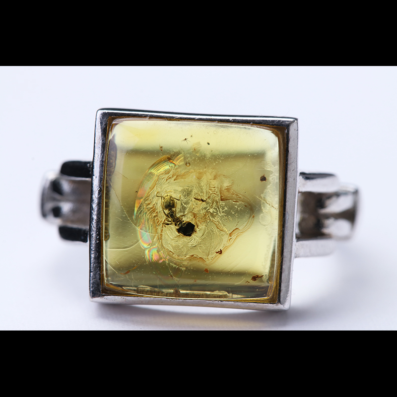 天然波罗的海琥珀蜜蜡 金珀原生态虫珀灵珀女款戒指 体型大完整活虫