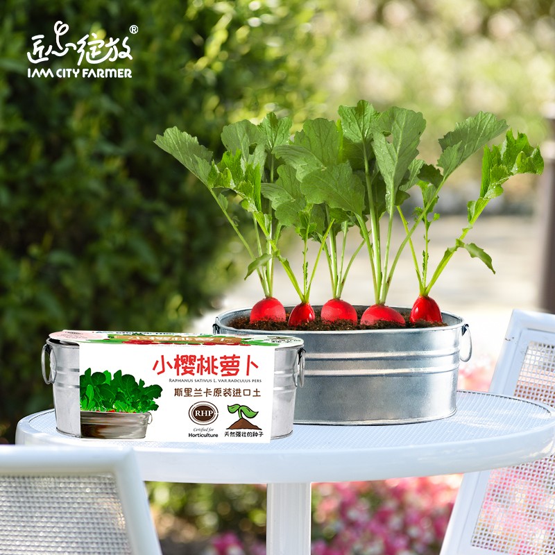 网购蔬菜类历史价格走势|蔬菜类价格走势