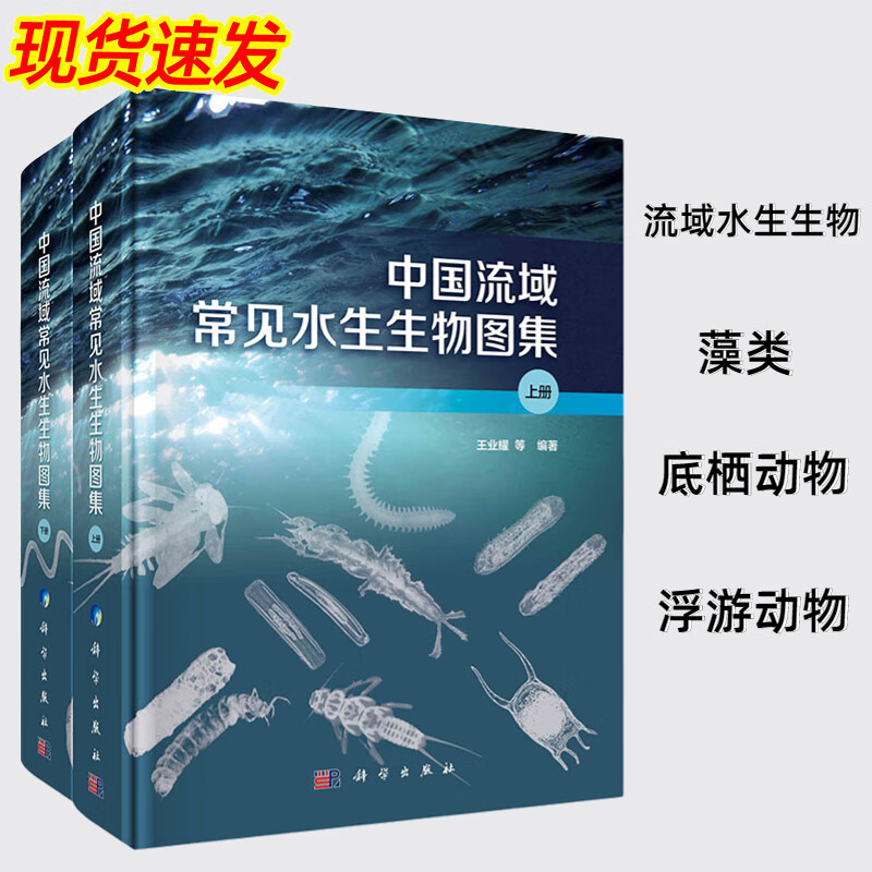 中国流域常见水生生物图集上下册 王业耀等 我国流域水生生物藻类底栖