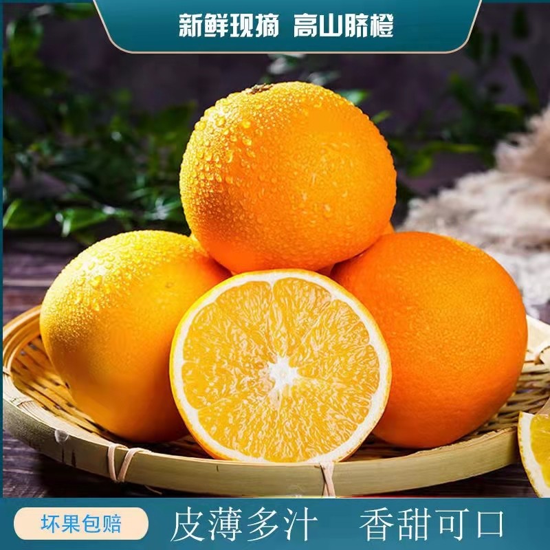 崀山红-脐橙甜橙生鲜水果新鲜当季水果时令生鲜甜橙精品礼盒装 普箱5斤毛重（60-65）