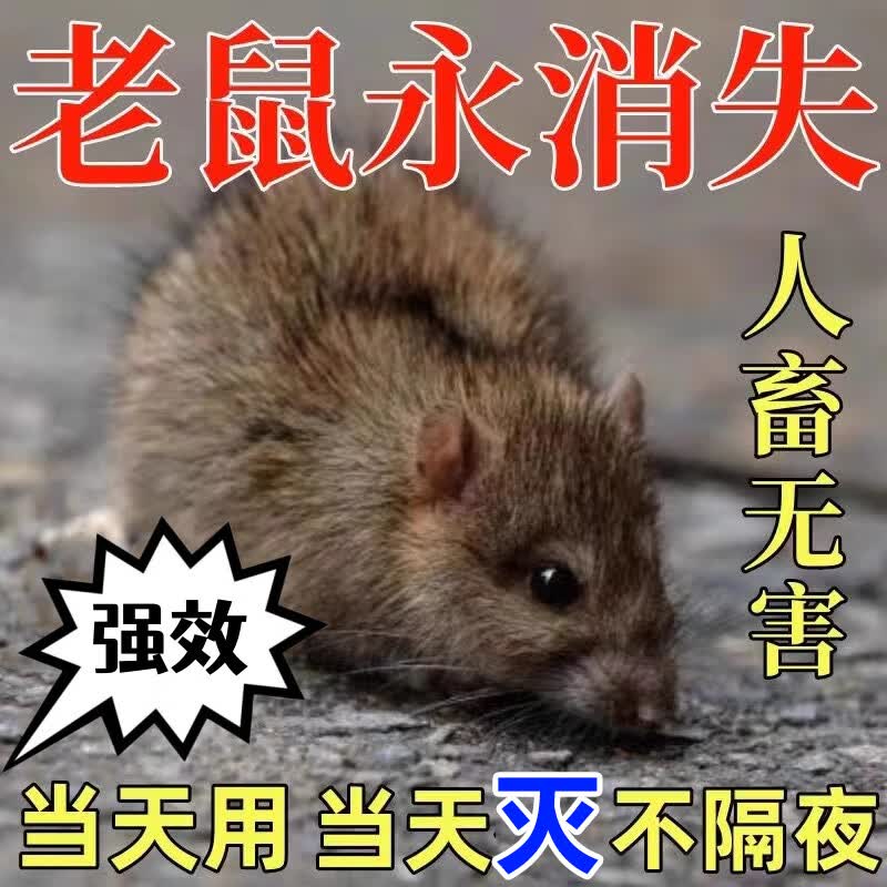驱鼠樟脑丸驱鼠神器一窝端防抓灭鼠药家用外用汽车灭鼠药闻到死 买二
