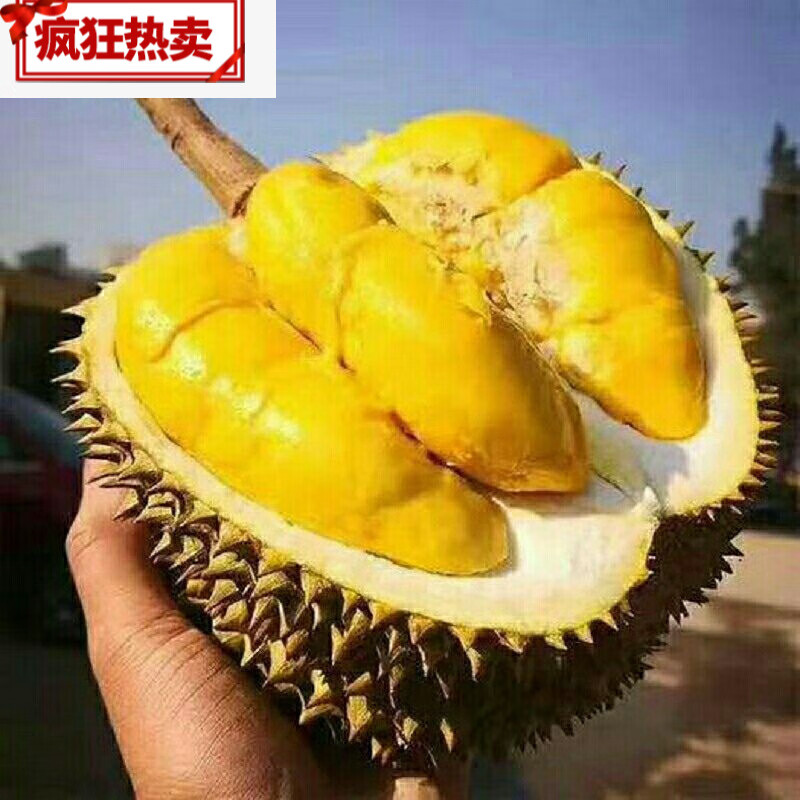 采缇(caiti)泰国托曼尼巴掌榴莲当季新鲜水果冷冻托曼尼小长柄榴莲 一