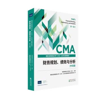 财务规划、绩效与分析(中文版)