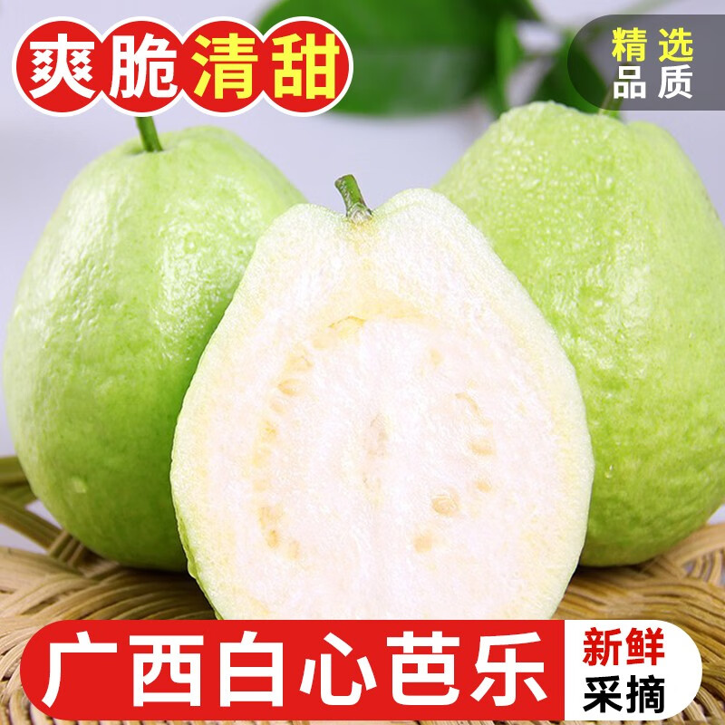 探味君  广西白心芭乐 番石榴新鲜水果 2斤