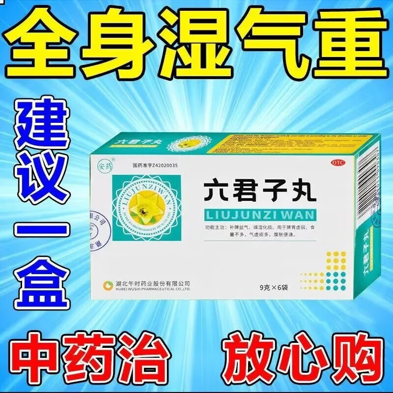 祛湿药健脾胃肾阳虚脾虚湿气重去湿颗粒 补气补脾胃】1盒安药六君子丸