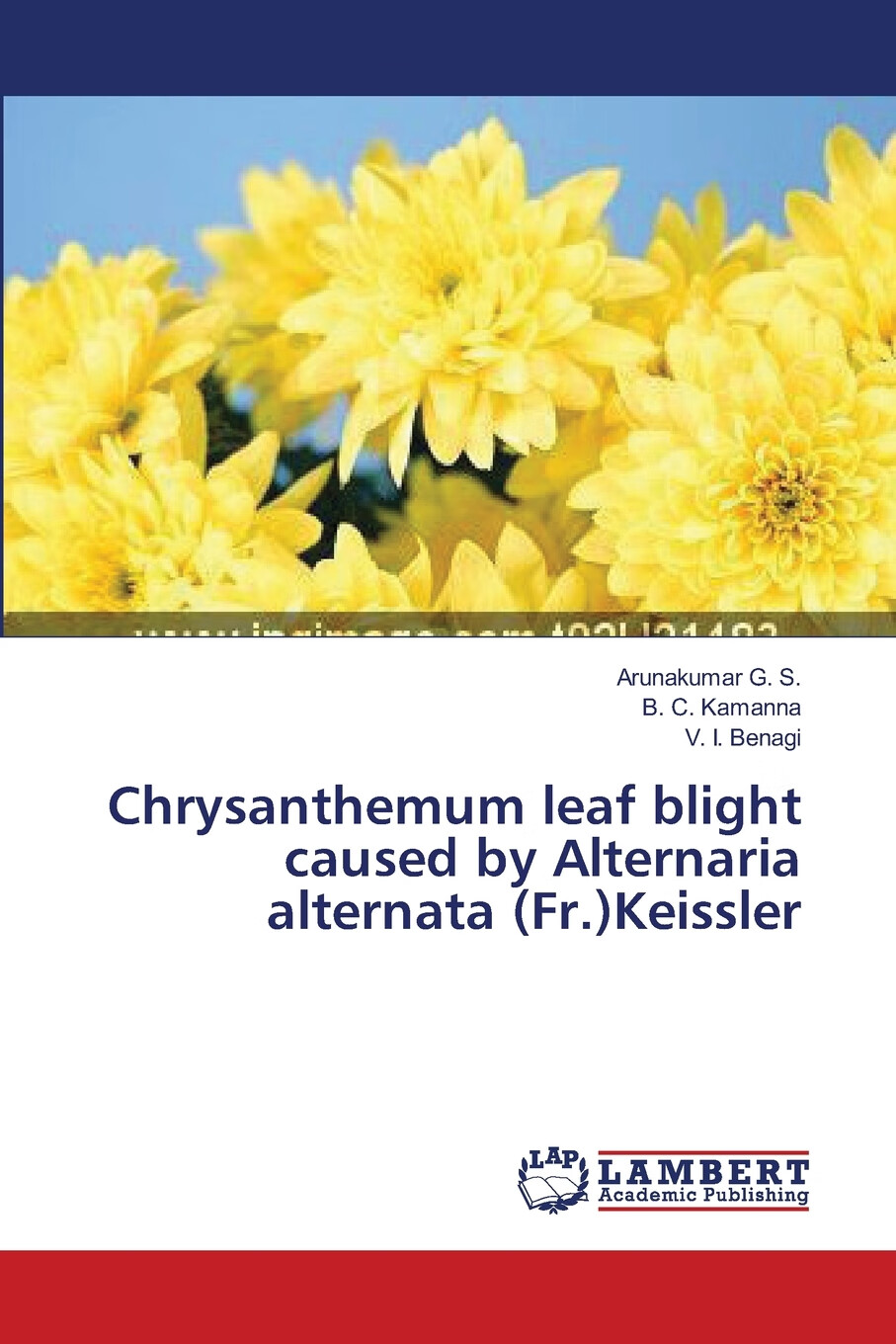 【预售 按需印刷】chrysanthemum leaf blight caused by alternaria