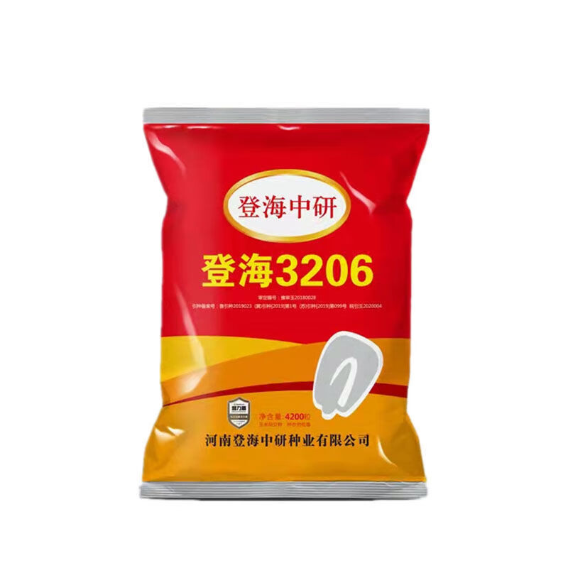 3206矮杆丰产大棒双胞耐涝抗旱玉米种子紫杆 登海大棒3206【4200颗】