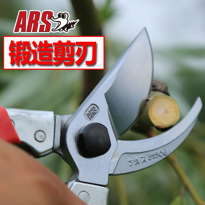 爱丽斯(ars) 进口120s-8修枝剪 剪枝剪 整枝剪 剪刀果树剪 剪树剪刀