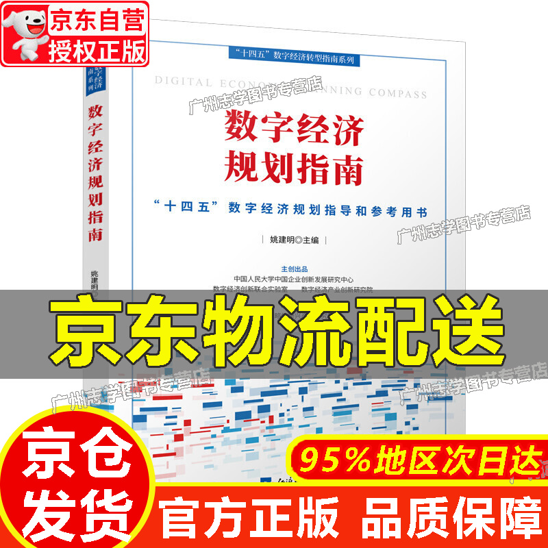 【京东配送正版】数字经济规划指南 数字经济规划指南