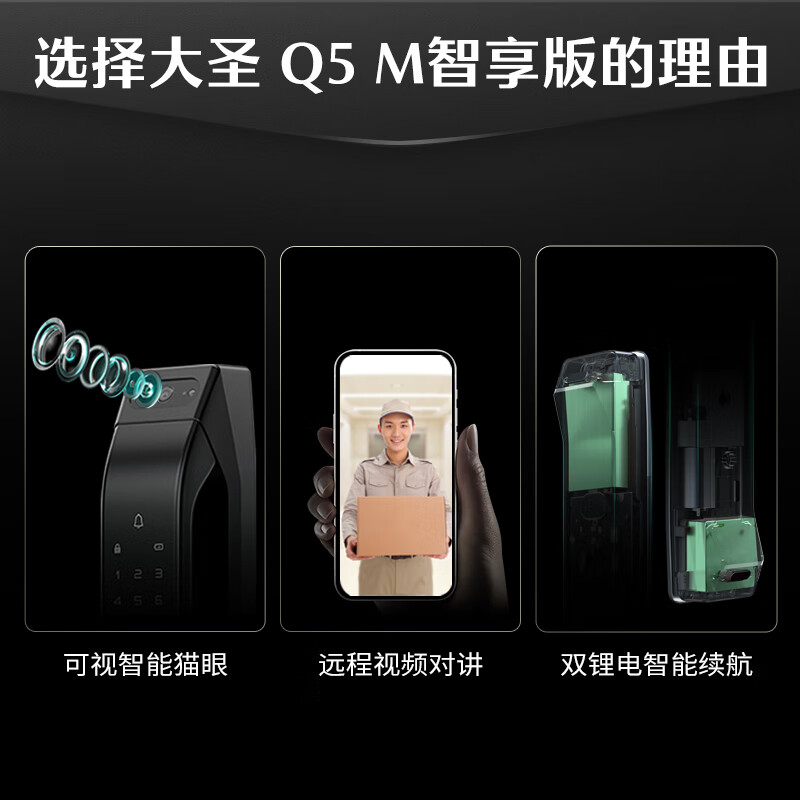 德施曼（DESMAN）全自动智能锁指纹锁密码锁智能门锁 可视智能猫眼 Q5M智享版