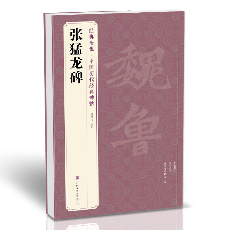 《张猛龙碑》中国历代碑帖精粹译文简体注释北魏楷书毛笔字帖书法学生临摹帖练古帖练字中国美院 杨 国美院 杨