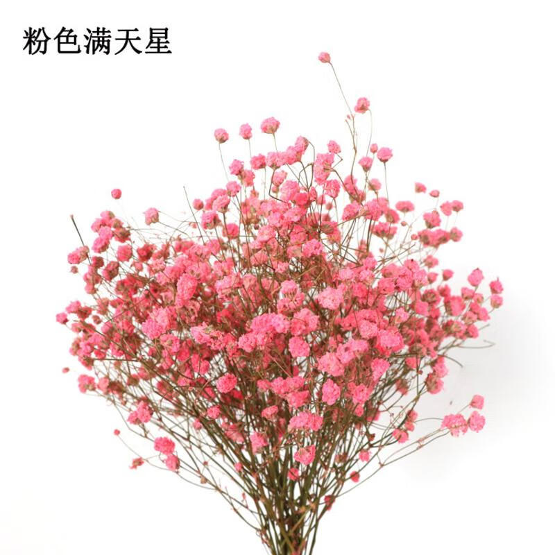 爱满(aiman) ins风干花花束家居摆设小清新客厅插花网红装饰品满天星