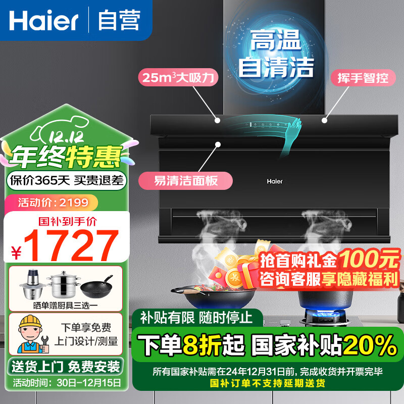 海尔（Haier）【国家补贴】油烟机 7字型顶侧双吸抽油烟机25立方大吸力480Pa大风压家用大尺寸抽油烟机EC725