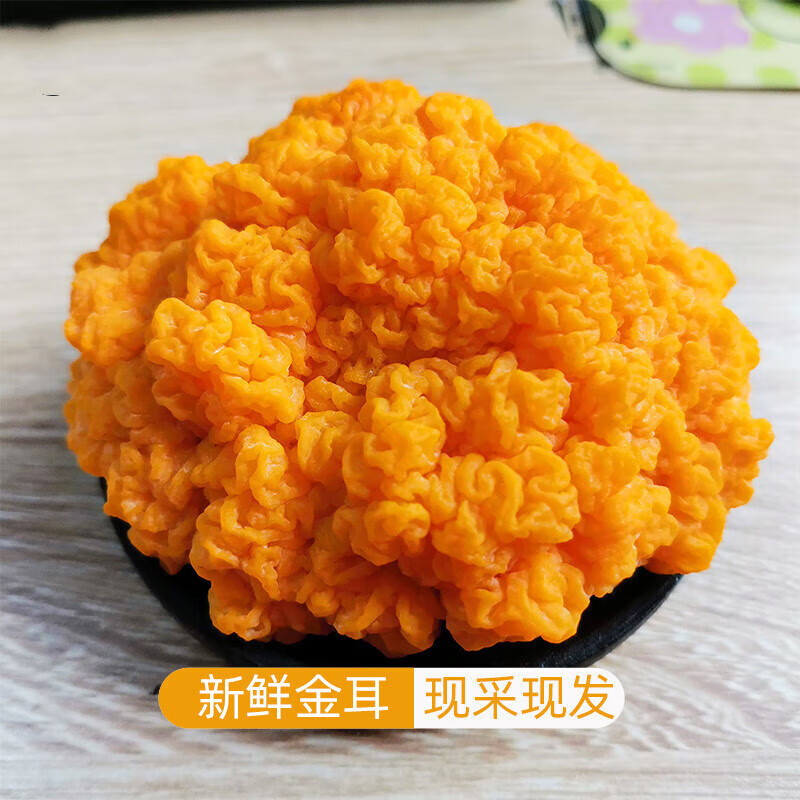 禾澹新鲜金耳菌云南特产黄金耳菌金耳菌菇银耳羹菌菇非干货 新鲜金耳