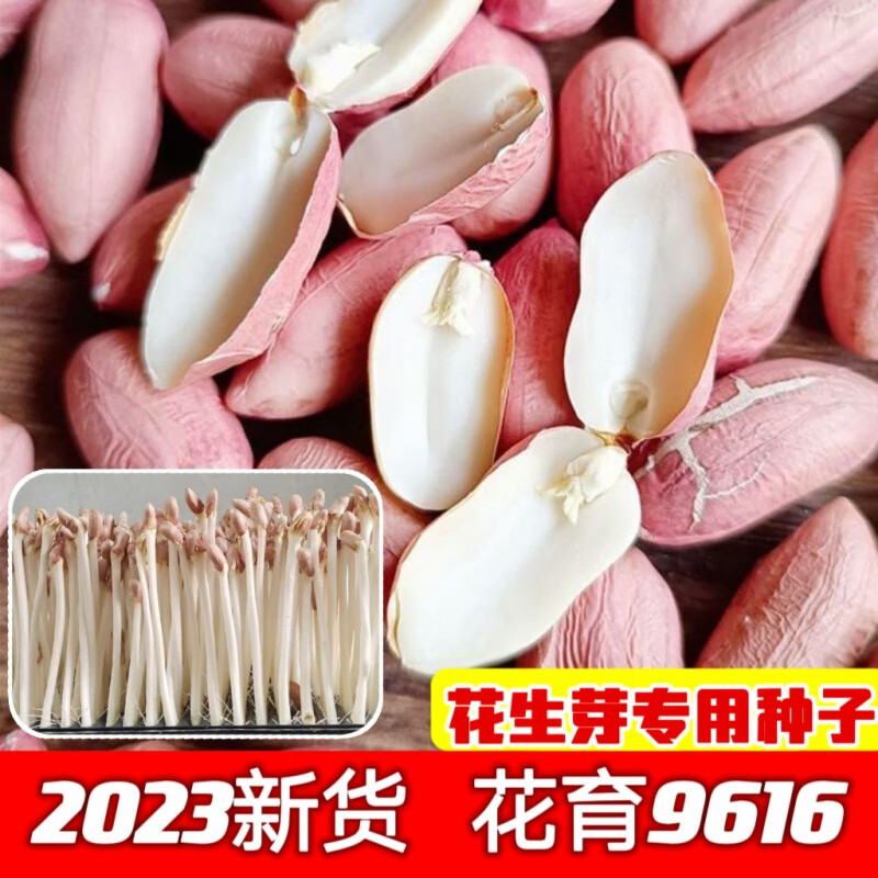 禾之润新】花生芽种子花育9616手剥去壳生花生米发芽专用花生米种子