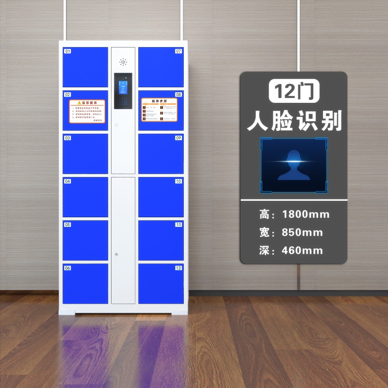 碧天蓝色 12门人脸识别