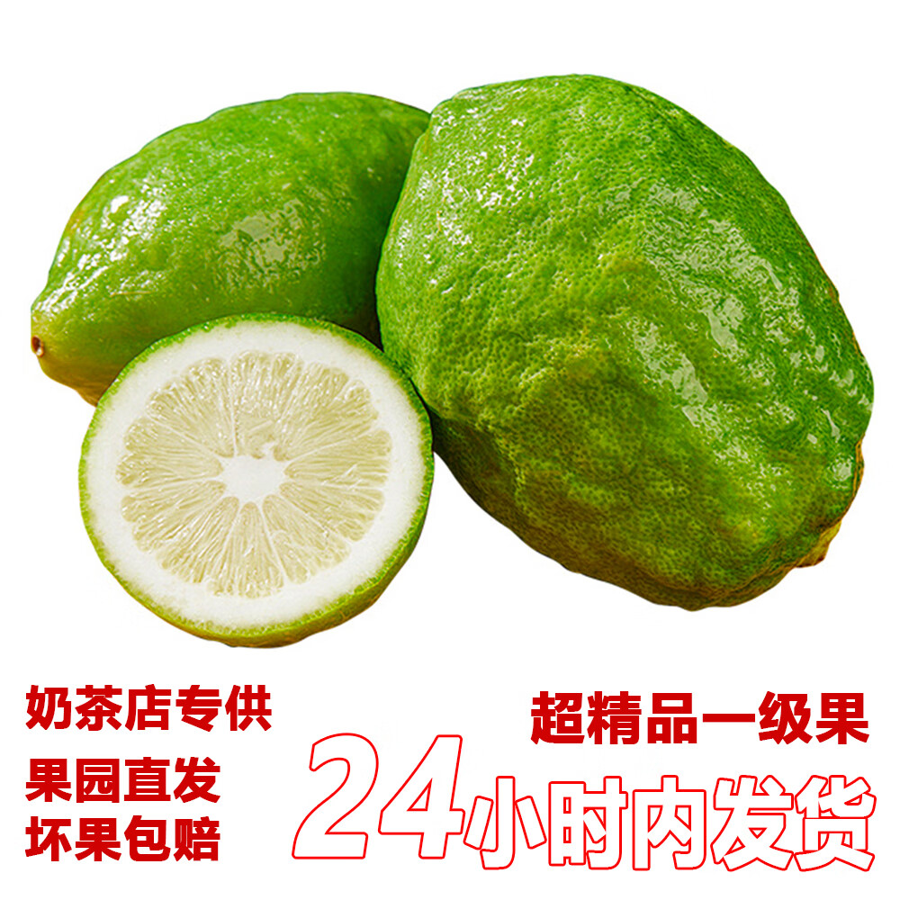 正宗广东香水柠檬爆香新鲜无籽精品一级果 3斤(净重一级果奶茶店口味)