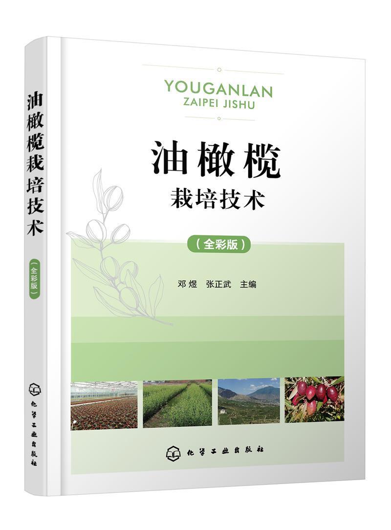 油橄榄栽培技术(全彩版)农业/林业油橄榄栽培技术普通大众图书