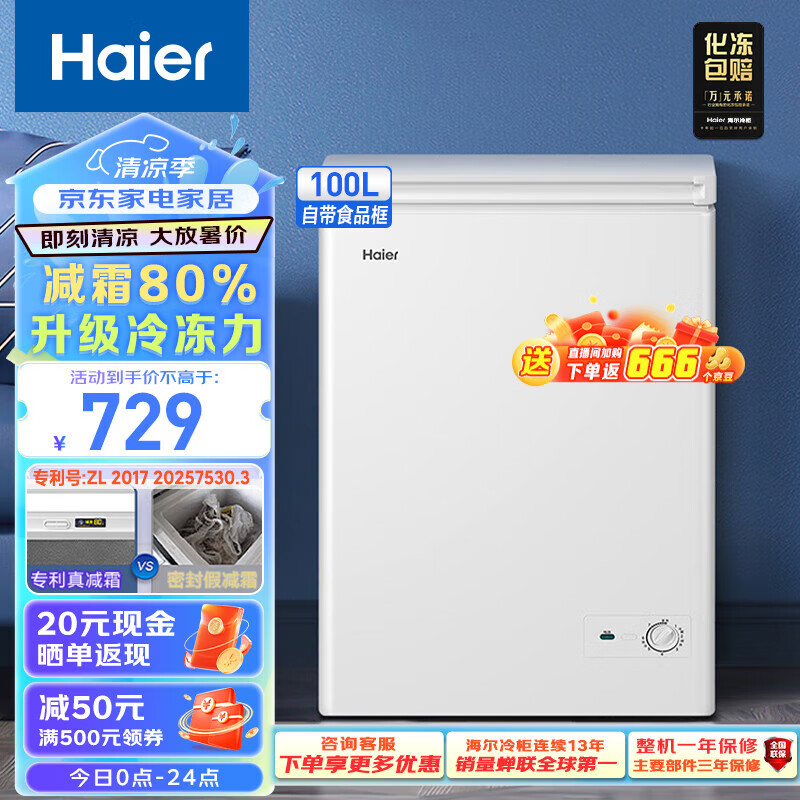 海尔（Haier）100升低霜小冰柜家用商用 冷藏柜冷冻柜两用冰柜小型租房用小冰箱小型冷柜BC/BD-100GHD以旧换新 冷冻冷藏转换专利减霜80% 100L