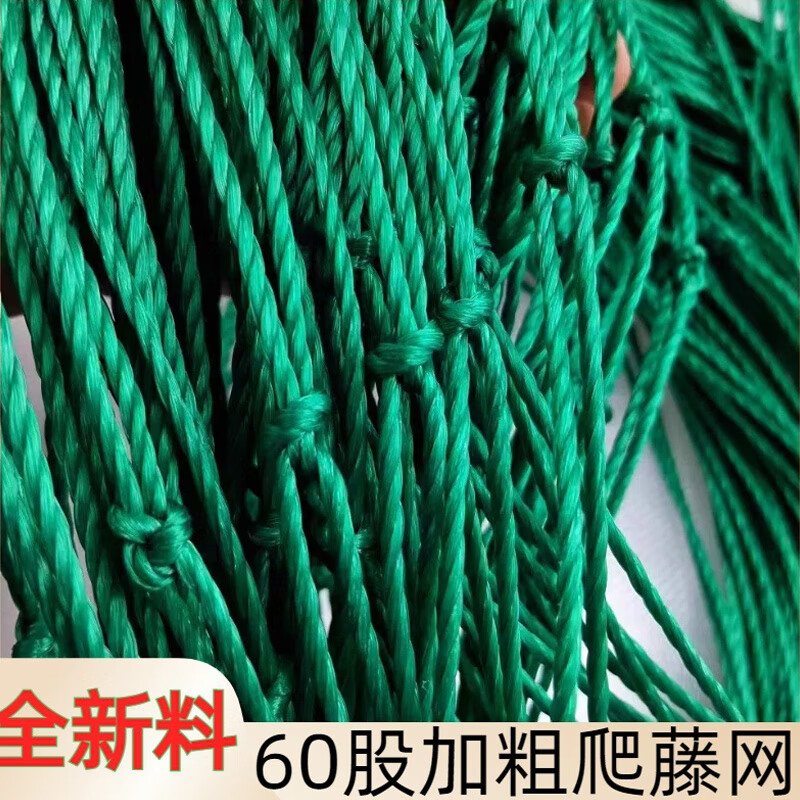 黄瓜网百香果网吊瓜种植葡萄架网园艺攀爬网防护网 4米宽20米长送绑绳