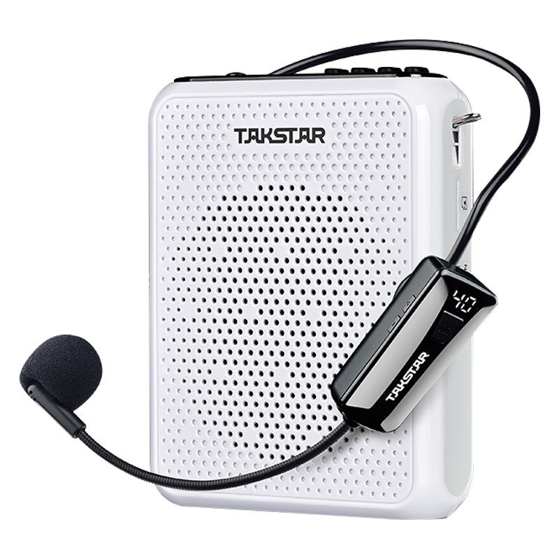 得胜（TAKSTAR）E300W 无线小蜜蜂扩音器教师专用大功率喇叭导游蓝牙小音箱FM收音机
