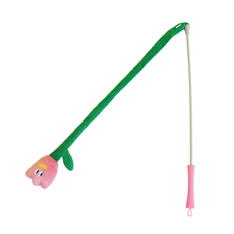 ZEZE �����㶺è�� è���� ��ҧĥ�� ���˽��� è��� 16.8Ԫ